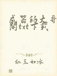 成器的大哥笔趣阁txt下载