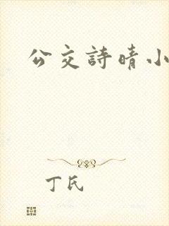 公交诗晴小说
