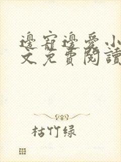 边宠边爱小说全文免费阅读小说