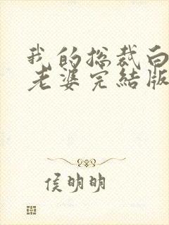 我的总裁白富美老婆完结版