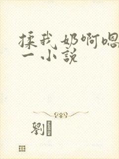 揉我奶啊嗯再骚一小说封面