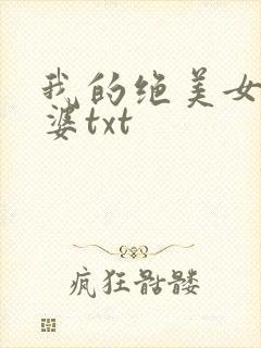 我的绝美女神老婆txt封面