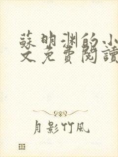 苏明渊的小说全文免费阅读无弹窗封面
