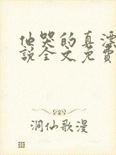 他哭的真漂亮小说全文免费阅读封面