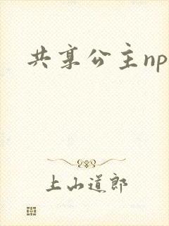 共享公主npc