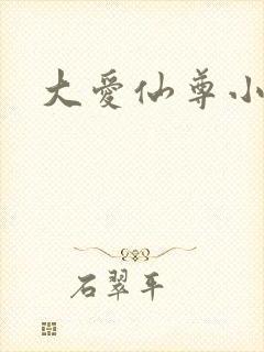 大爱仙尊小说封面