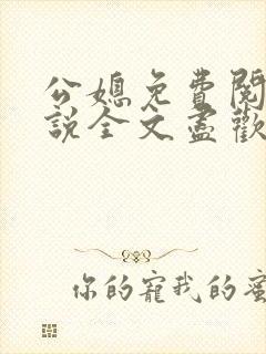 公媳免费阅读小说全文尽欢年代