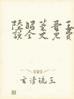 陆昭菱晋王的小说全文免费阅读