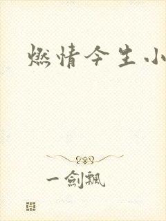 燃情今生小说