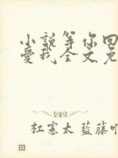 小说等你回眸说爱我全文免费阅读