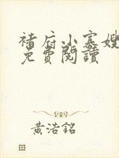 褚府小寡嫂小说免费阅读封面