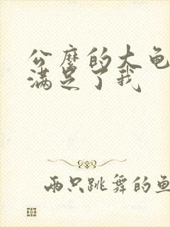 公么的大龟强大满足了我