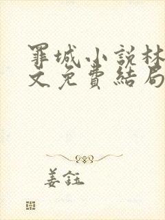 罪城小说林岚全文免费结局在线阅读