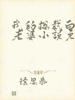 我的总裁白富美老婆小说免费读