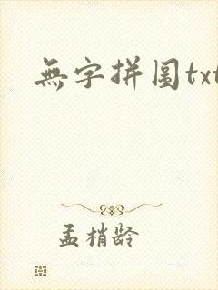 无字拼图txt