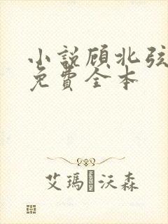 小说顾北弦苏o免费全本
