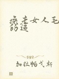 操老女人毛茸茸的逼