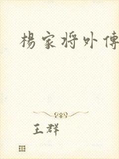 杨家将外传