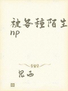 被各种陌生人 np