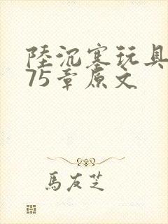 陆沉塞玩具高速75章原文