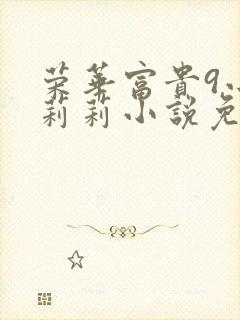 荣华富贵9小王莉莉小说免费阅读