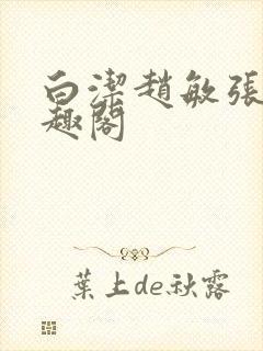 白洁赵敏张倩笔趣阁
