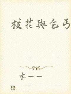 校花与乞丐h文