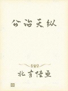 公治天纵封面