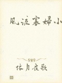 风流寡妇小说