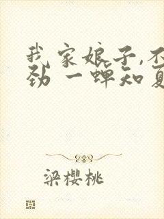 我家娘子,不对劲 一蝉知夏