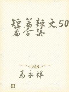 短篇辣文500篇合集封面