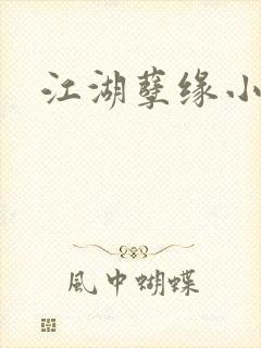 江湖孽缘小说封面