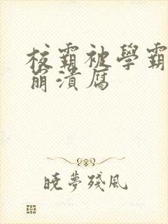 校霸被学霸玩到崩溃腐