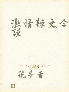 激情辣文合集小说