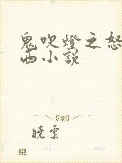 鬼吹灯之怒晴湘西小说