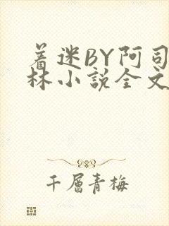 着迷BY阿司匹林小说全文免费阅读封面