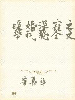 暖婚深宠之老公带我飞全文免费阅读封面