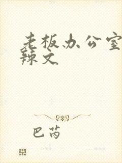 老板办公室系列辣文