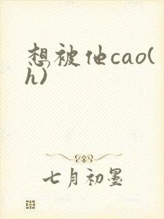 想被他cao(h)封面
