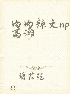 肉肉辣文np文高潮