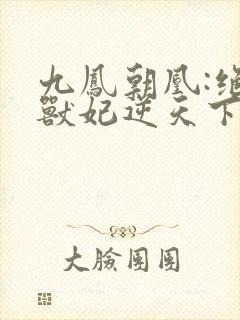 九凤朝凰:绝色兽妃逆天下