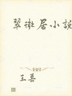 翠微居小说