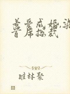 惹爱成婚,染指首席总裁
