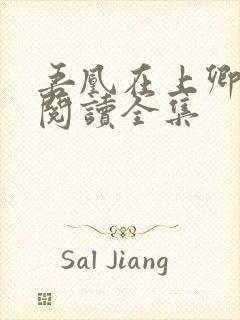 吾凰在上卿在下阅读全集封面