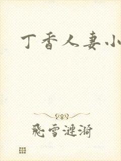 丁香人妻小说