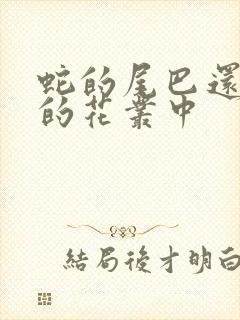 蛇的尾巴还在我的花丛中
