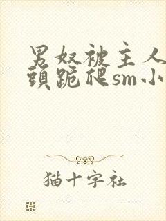 男奴被主人拽奶头跪爬sm小说
