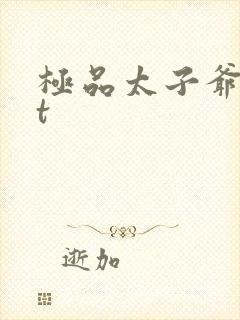 极品太子爷txt封面