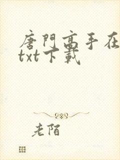 唐门高手在异世txt下载封面