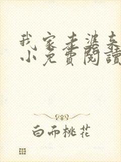 我家老婆来头不小免费阅读小说全文